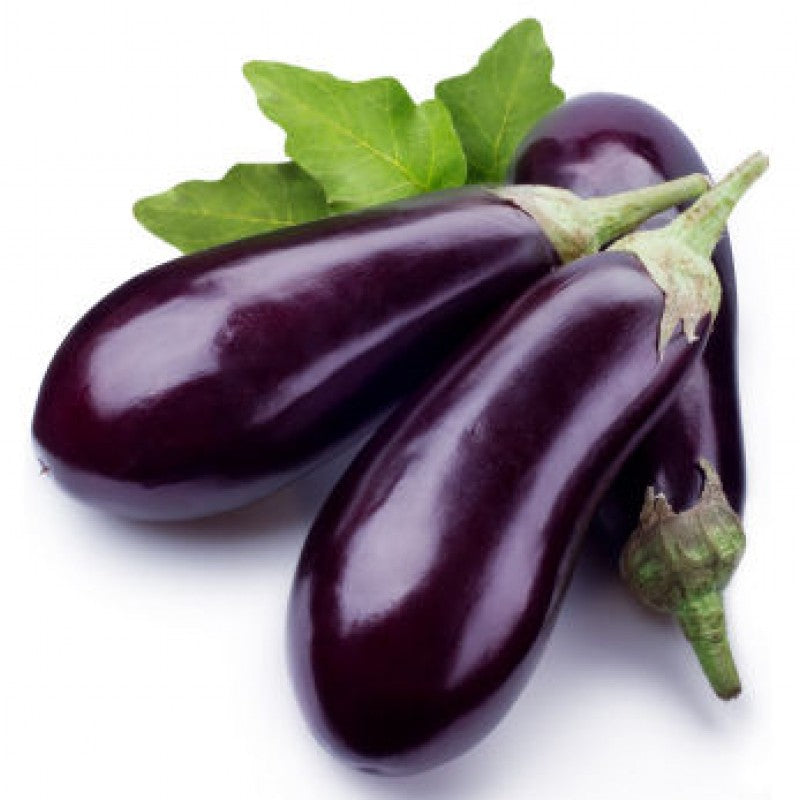 Eggplant Fancy Big - Per Lb