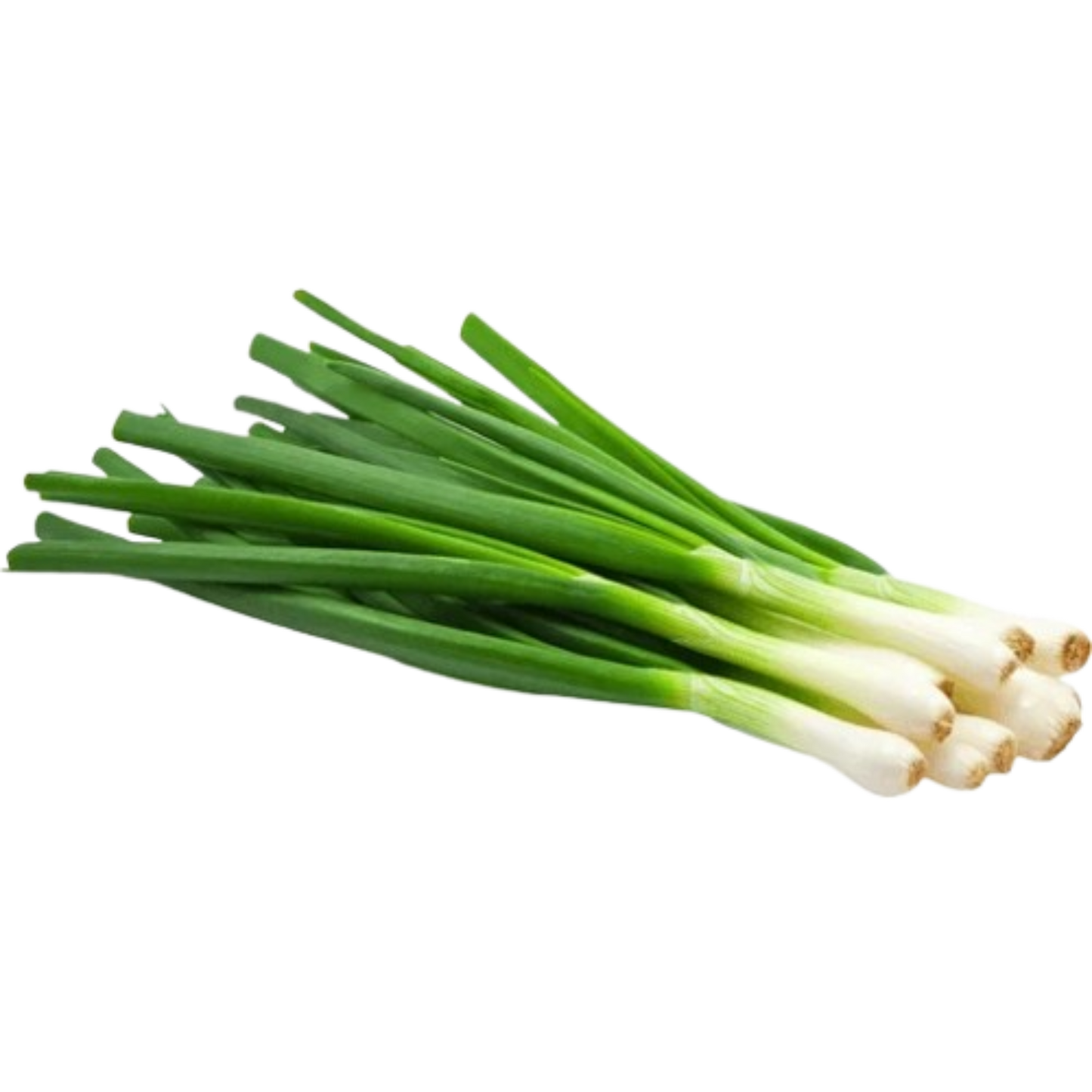 Onion Green Scallions - Bunch