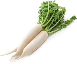 Mooli White Radish - Per Lb