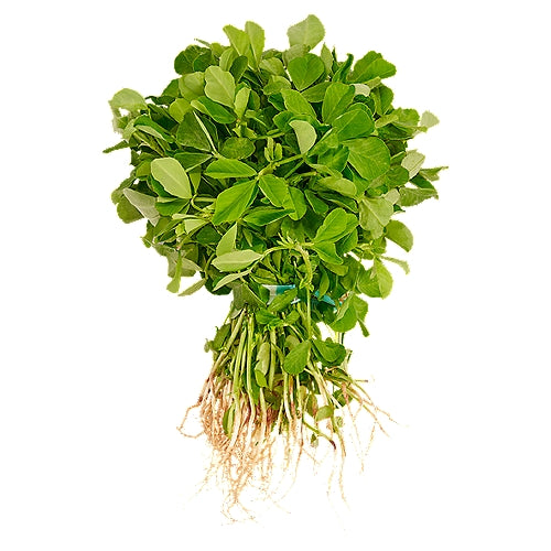 Methi Bunch - Each
