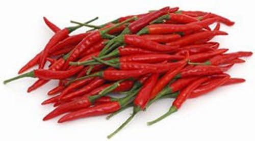 Chilli Red Small - Per Lb